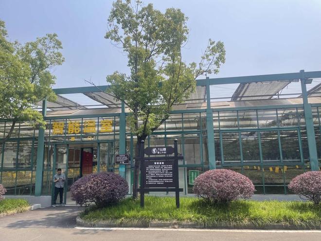 “组团”入沪借力五五购物节开拓市场麻将胡了2试玩安徽六安特色产品将(图4)
